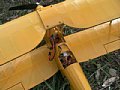 TIGER MOTH 2